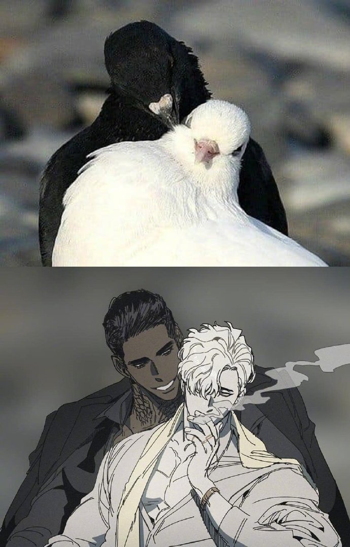 动物拟人] by:kangcono&gaetsaeng&dawndown