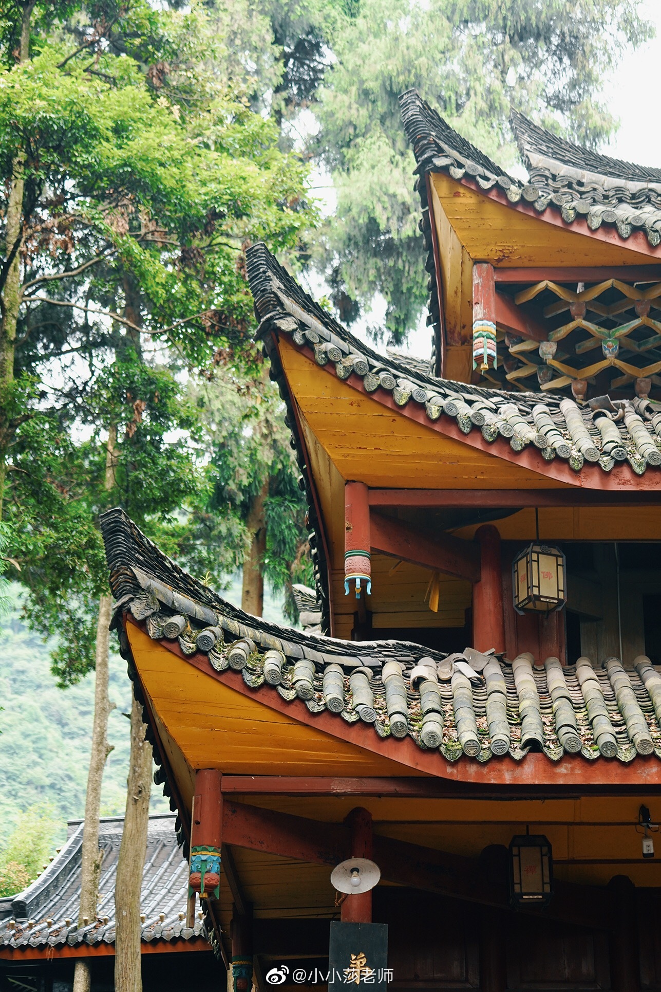 万年寺| 峨眉山最古老的千年寺庙万年寺是峨眉山八大寺庙之一相传