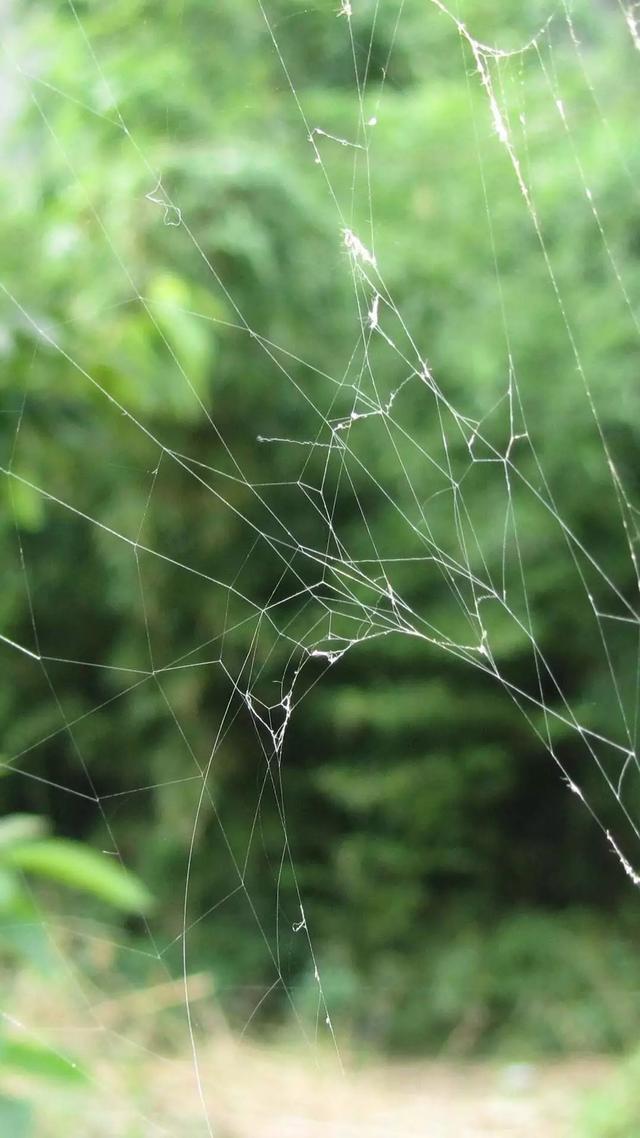 iPhone碎屏壁纸高清无水印 30张以假乱真碎屏