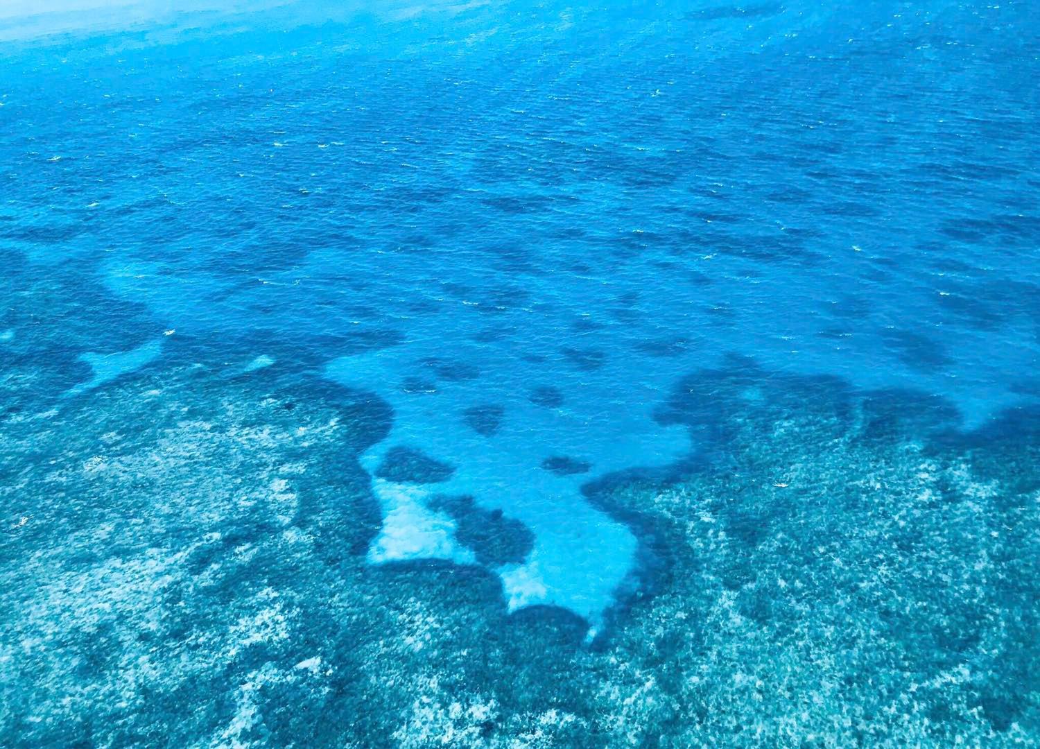 潜入深蓝 看看大堡礁海底长什么样_搜狐旅游_搜狐网