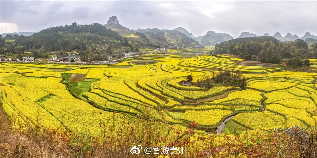 被誉为"遵义市后花园"的松林镇油菜花开了,你就不想来贵州看看