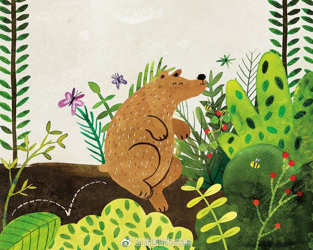 西班牙插画师 carmen saldaa《bunny bear》童书绘本插画设计作品森