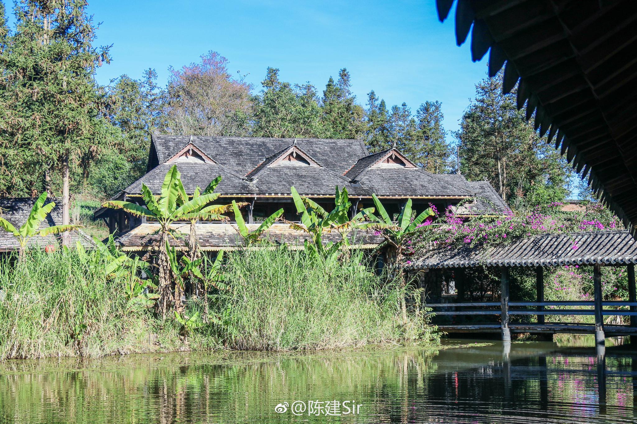 这里是西双版纳大益庄园,它是普洱茶的源头,茶马古道的起点.|大益|茶