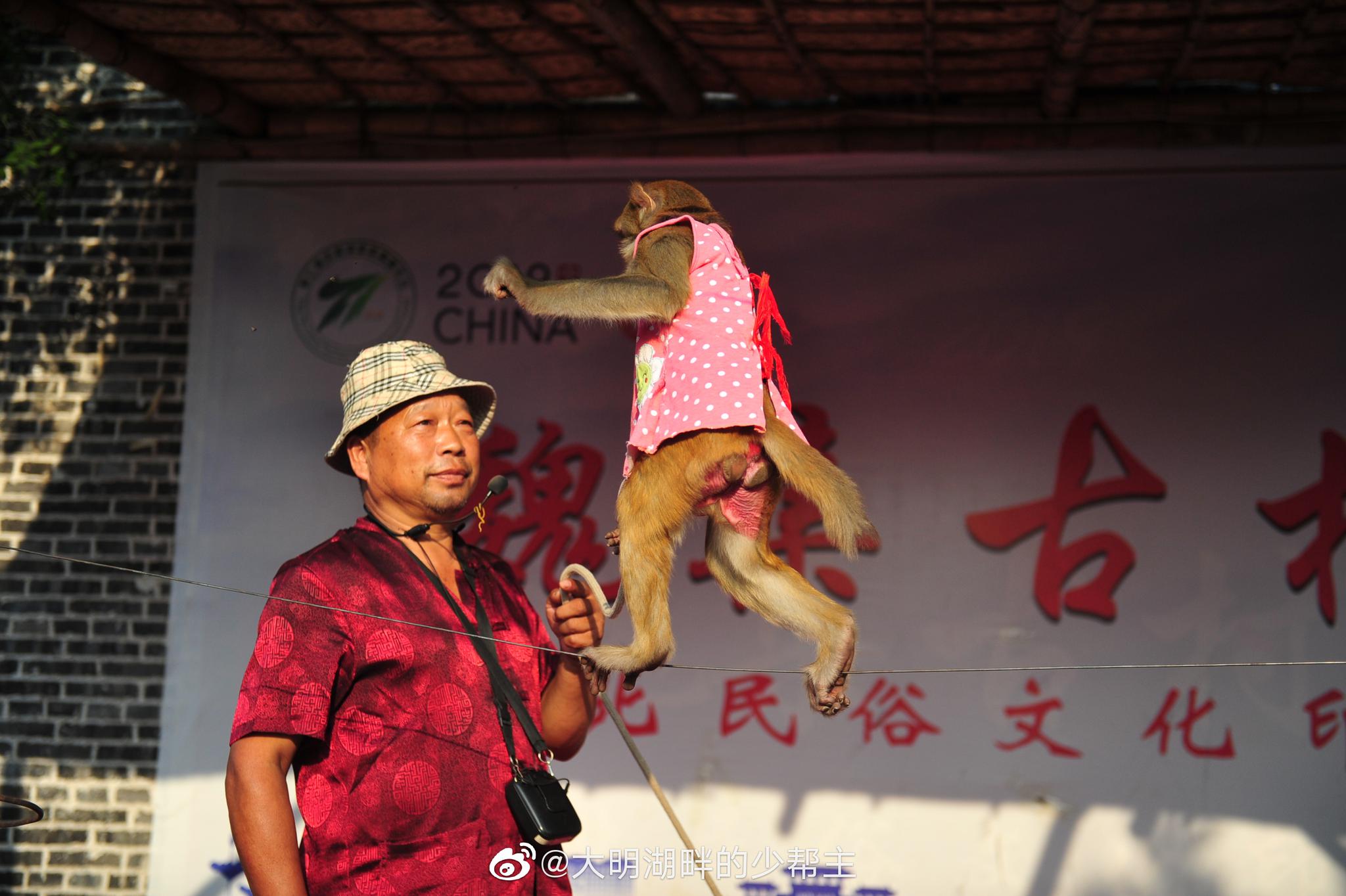骑上我心爱的小摩托,它永远不会堵车.还有多少人不会骑摩托的