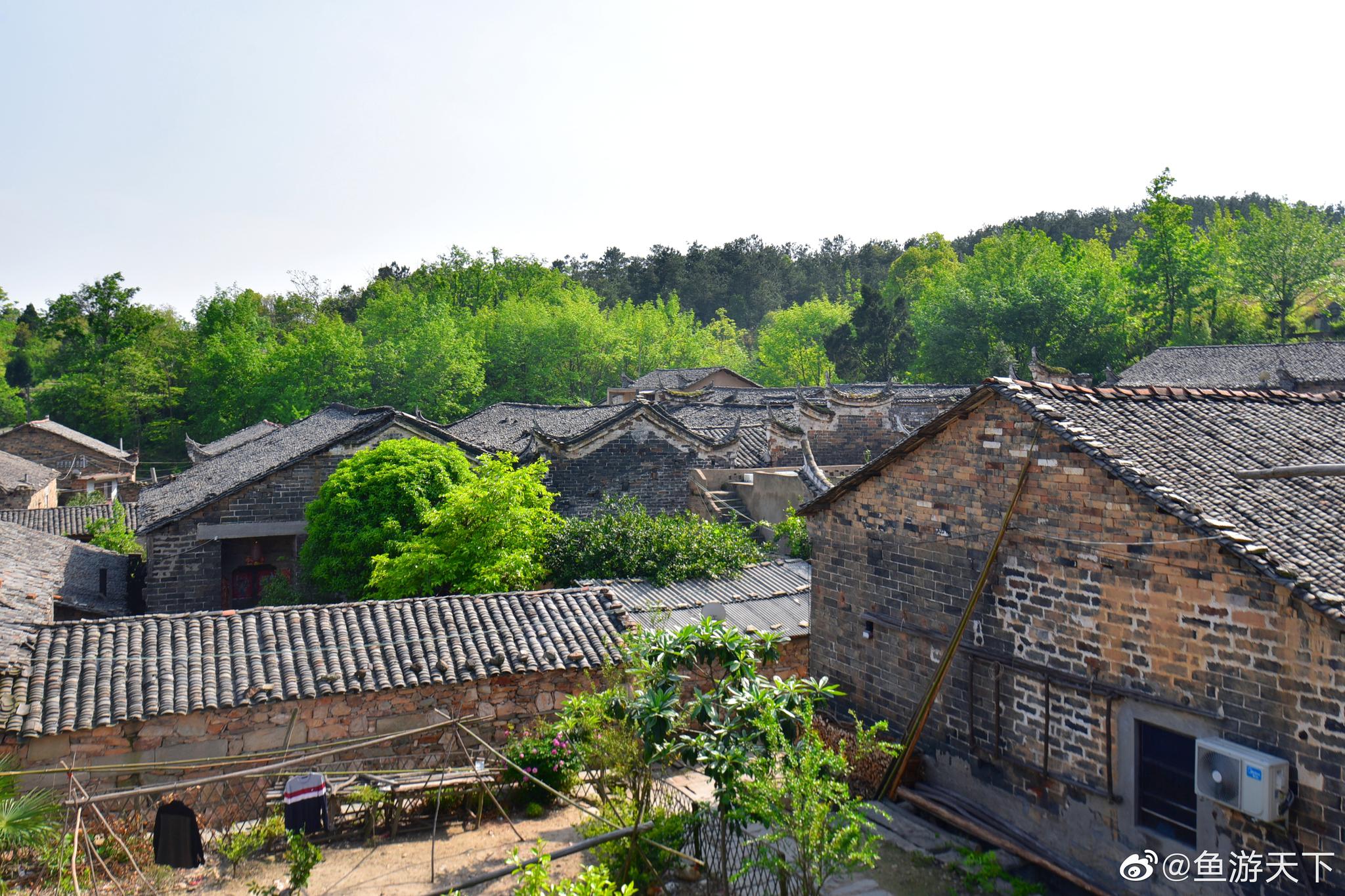 这是我第二次来湖北麻城歧亭镇的丫头山村