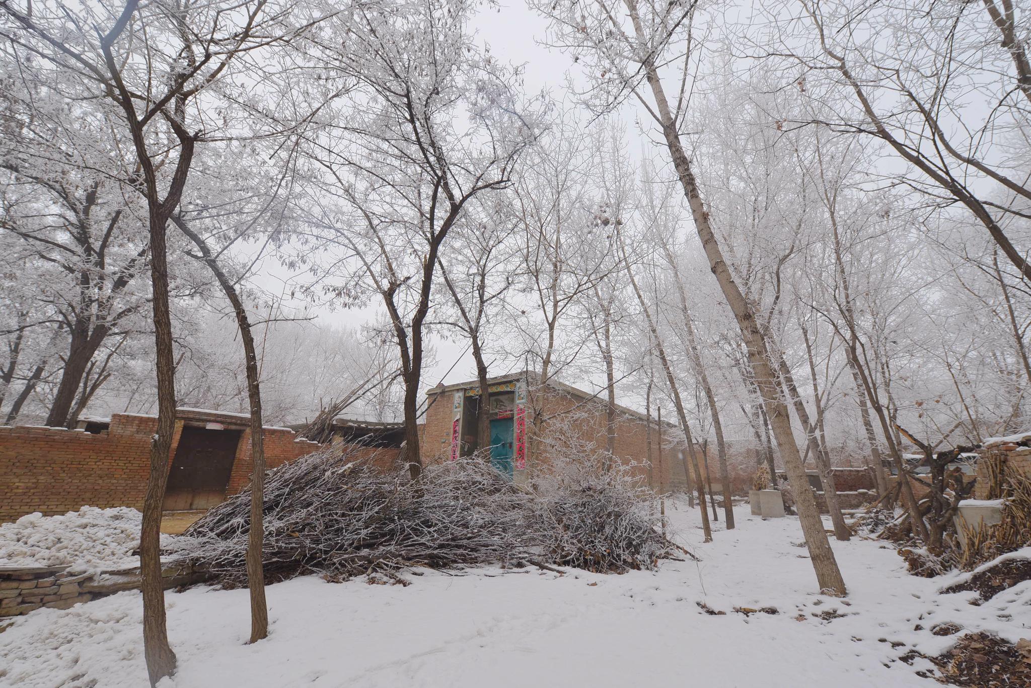 1 / 9 内丘县程家湾:雪后雾淞美如画这是1月18日在河北省内丘县柳林镇