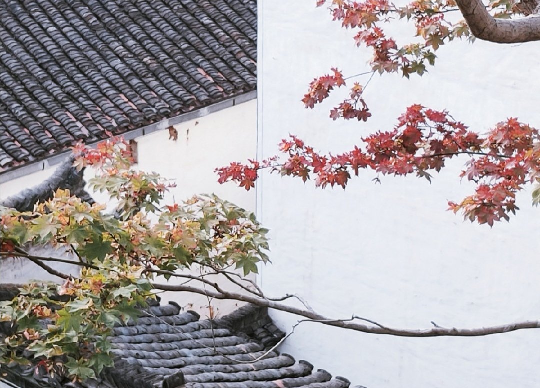 "青砖小瓦马头墙,回廊挂落花格窗_高清图集_新浪网