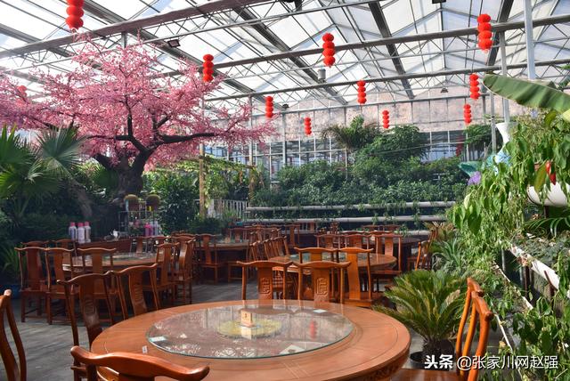 张家川花园式主题餐厅欢迎你,感受不一样生态环境!