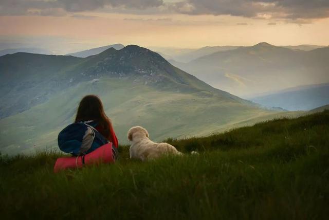金毛跟随主人一起去旅行,他们在一起的画面总是那么的美