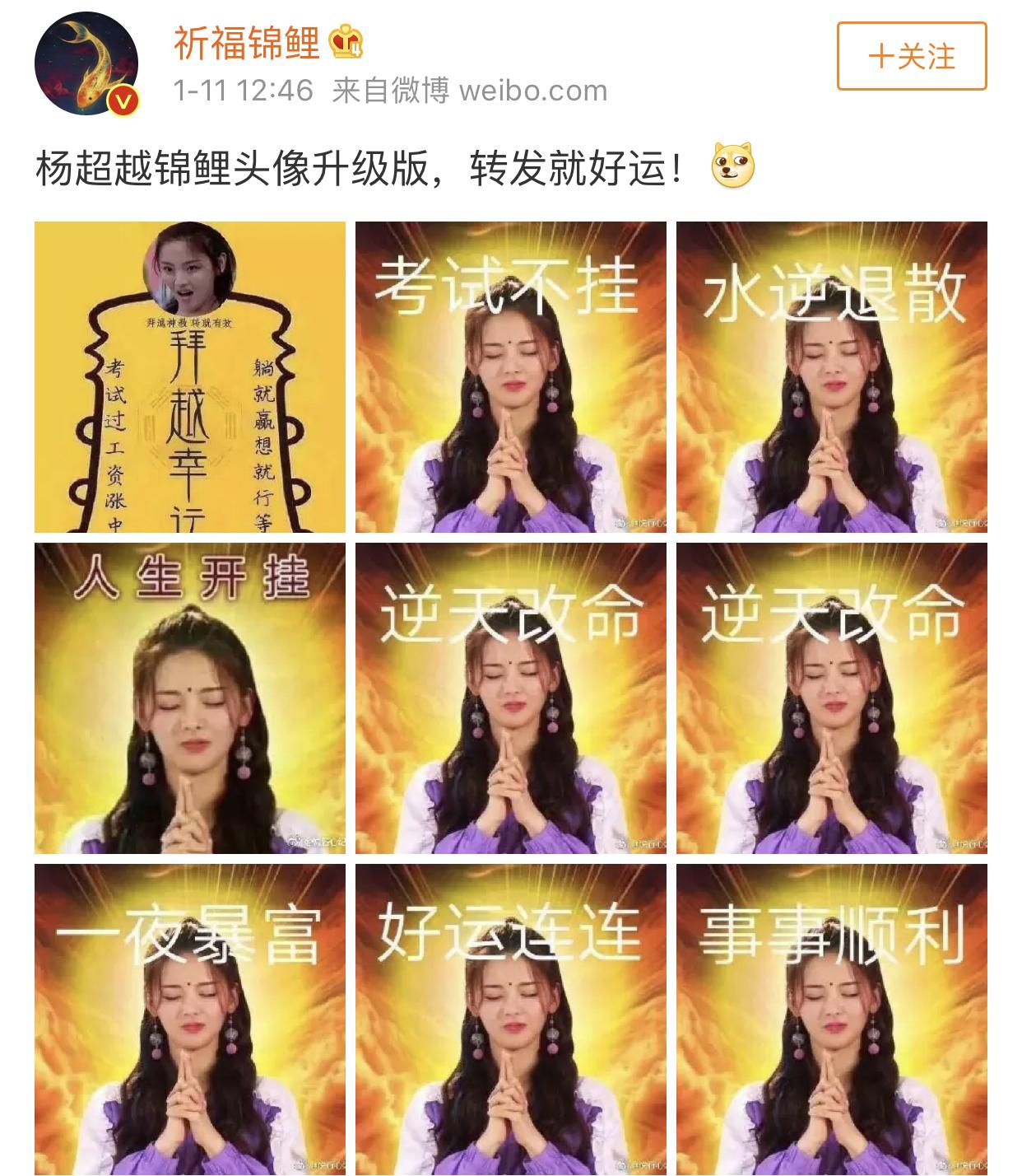 只因她是明星获得一切理所应当而做出贡献的袁隆平却被骂了