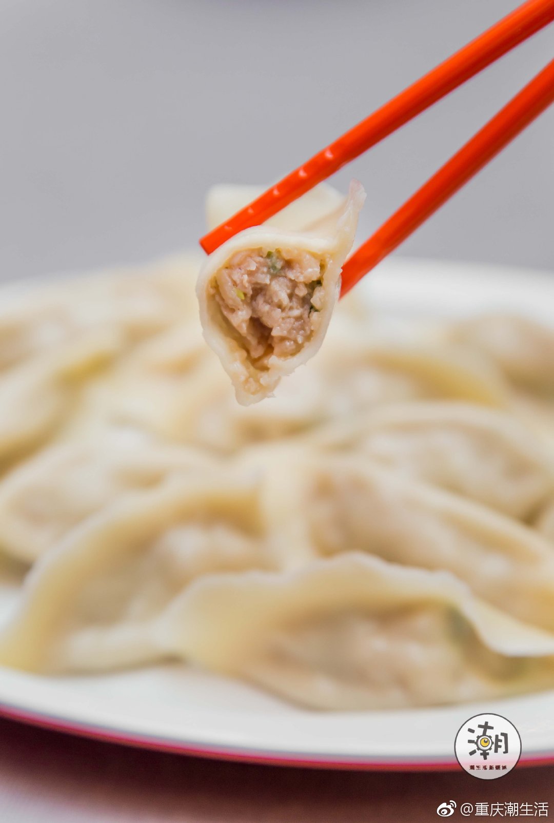 为什么这家饺子店,能够让叼嘴女孩一秒被收服呢|饺子店|水饺|虾仁