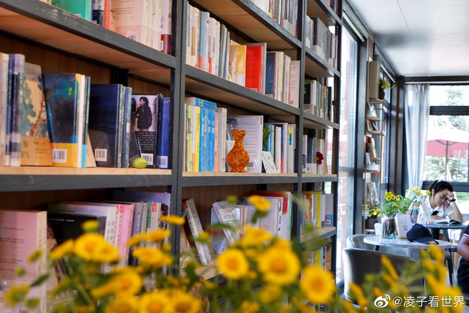 张家口桥东遇见网红书店,年轻人很喜欢的一家公园里的书店.