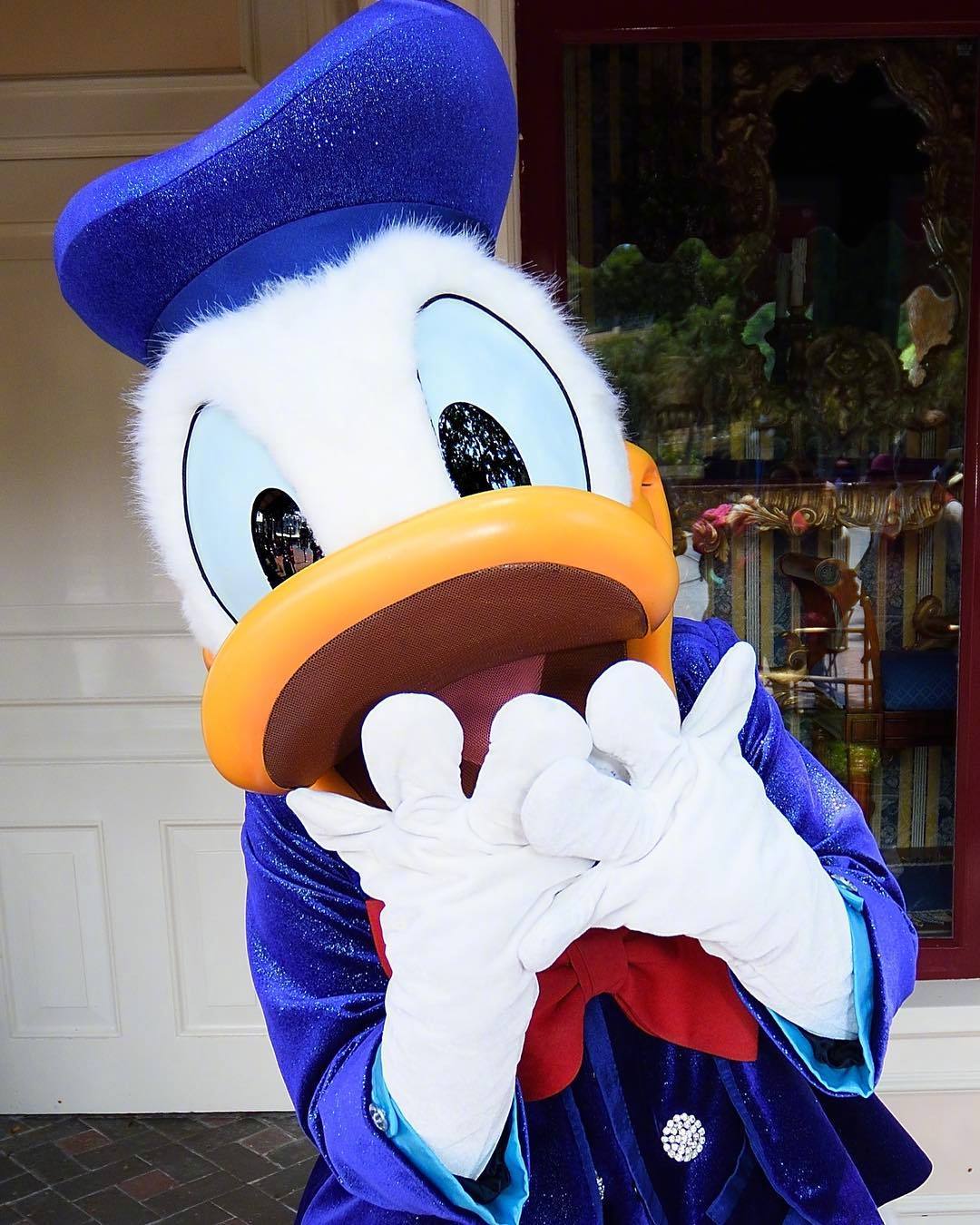 分享一波可爱的唐老鸭照片