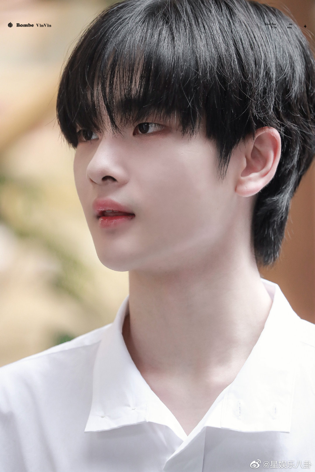 周震南成都 周震南白衬衫 周震南品牌活动饭拍图|白