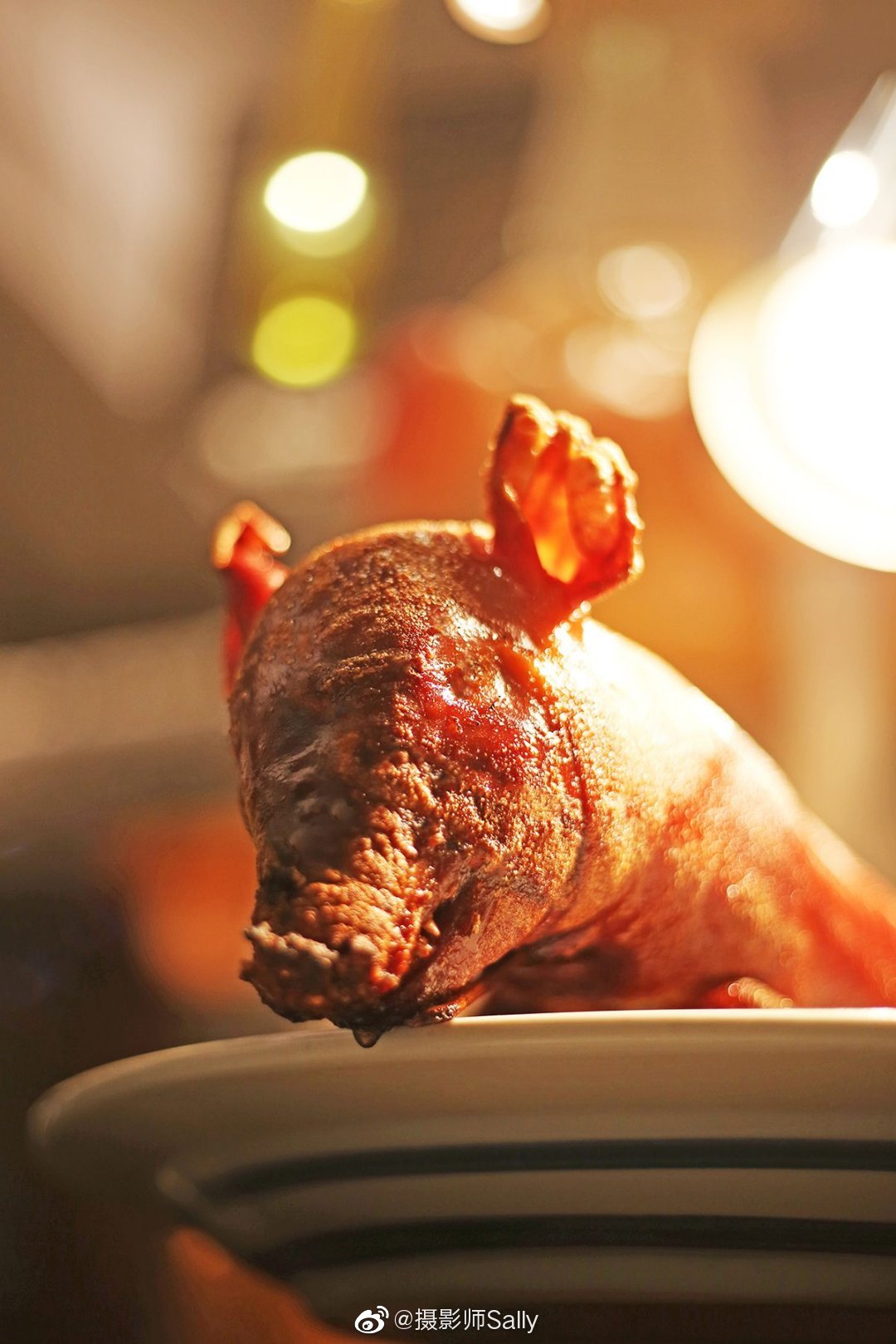 最喜欢的小乳猪(八宝猪)萌萌哒,小猪蹄子