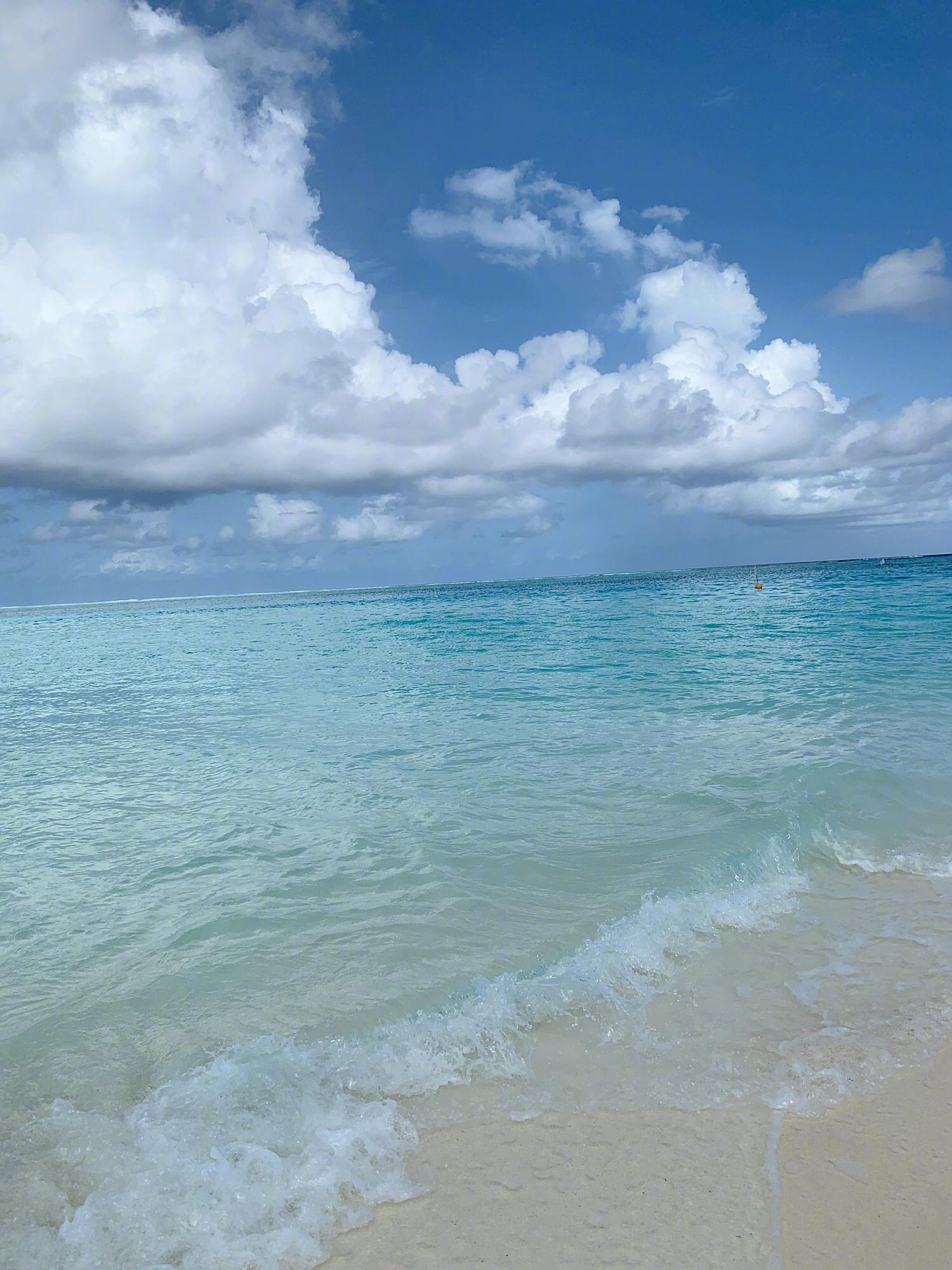 大海是人间的宝藏,我也是