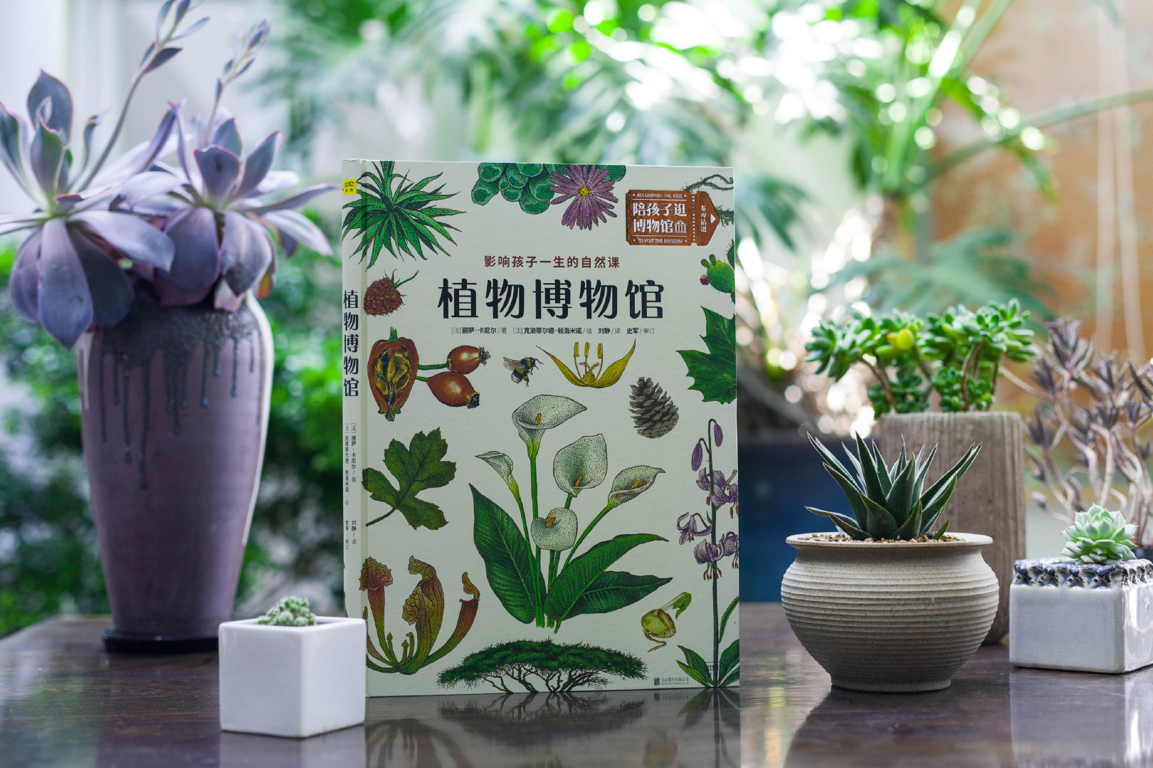 一本书就是一座博物馆,《植物博物馆》|博物馆|植物博物馆|植物_新浪