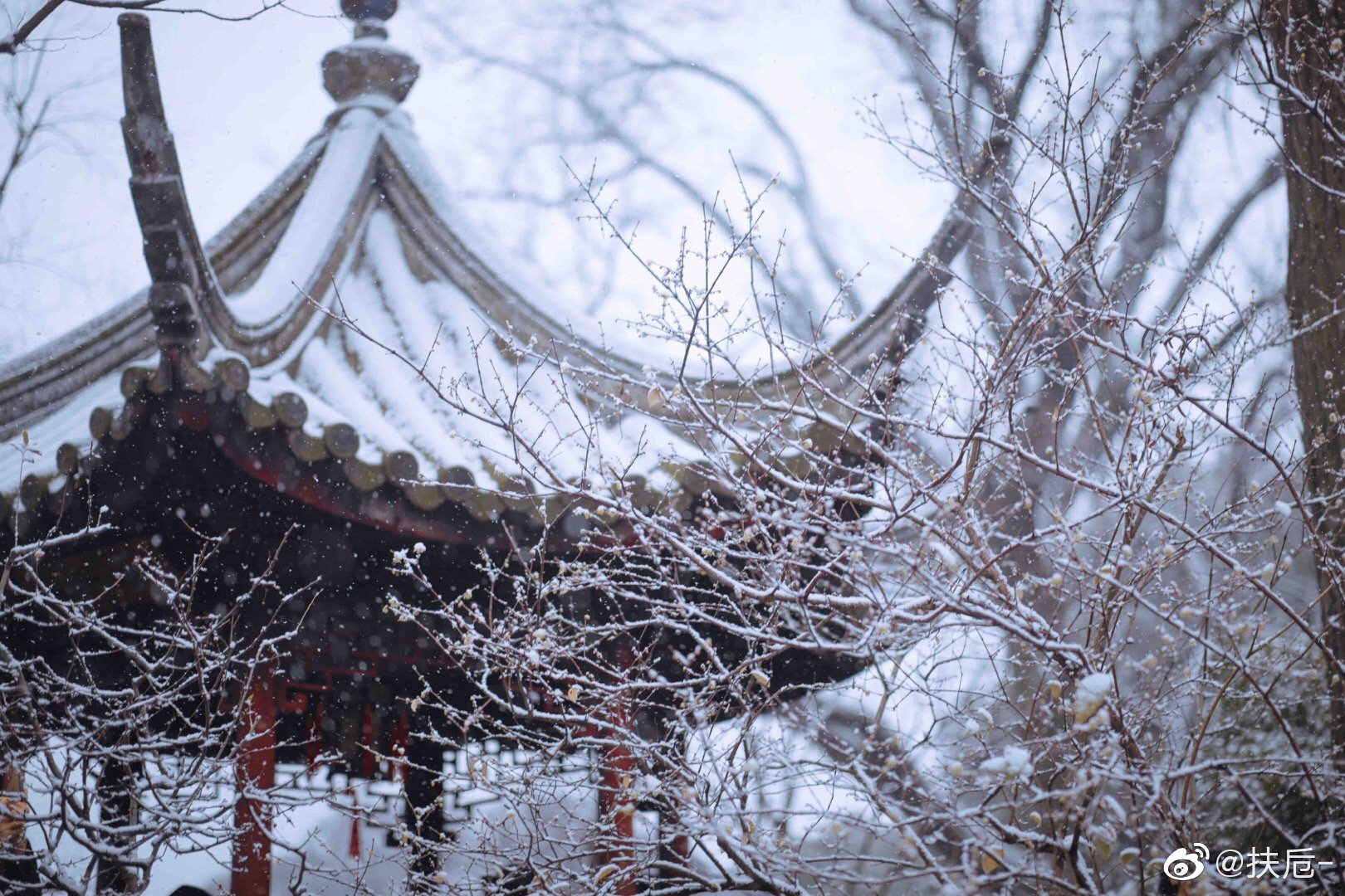 苏州雪景真实图片