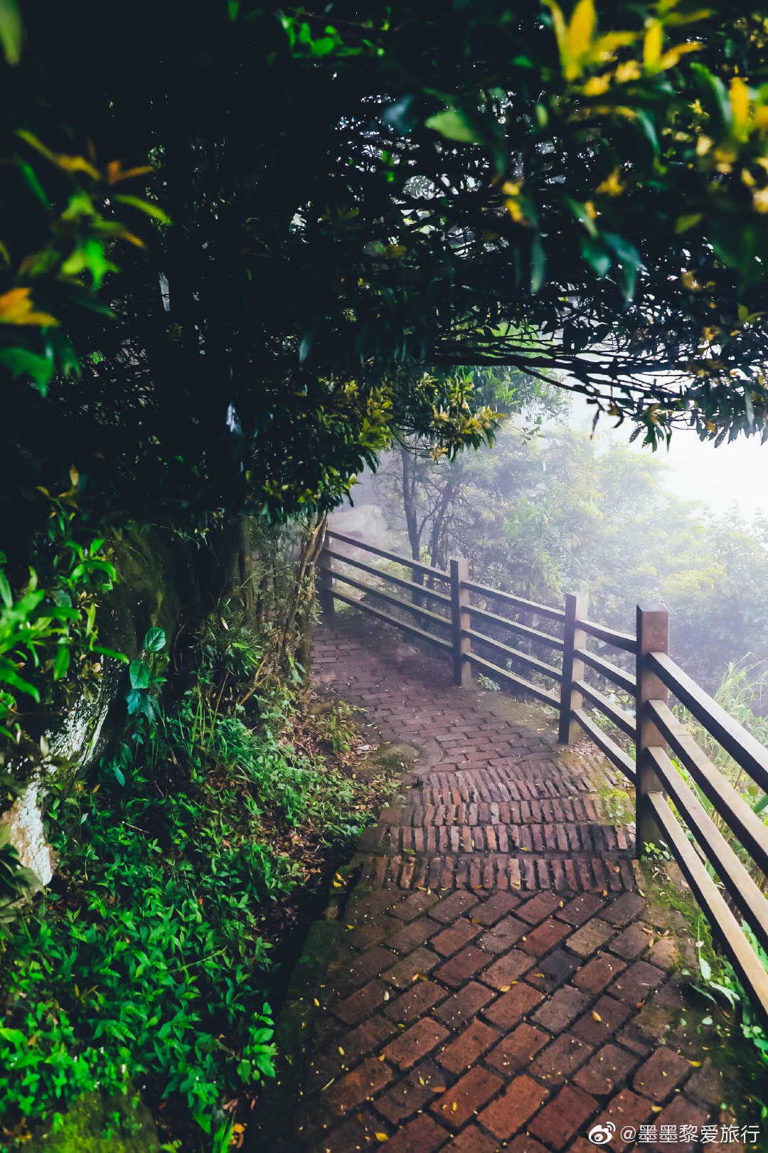 广东惠州博罗县罗浮山的清晨云雾缭绕,如同蓬莱仙境瑰丽的山川奇景