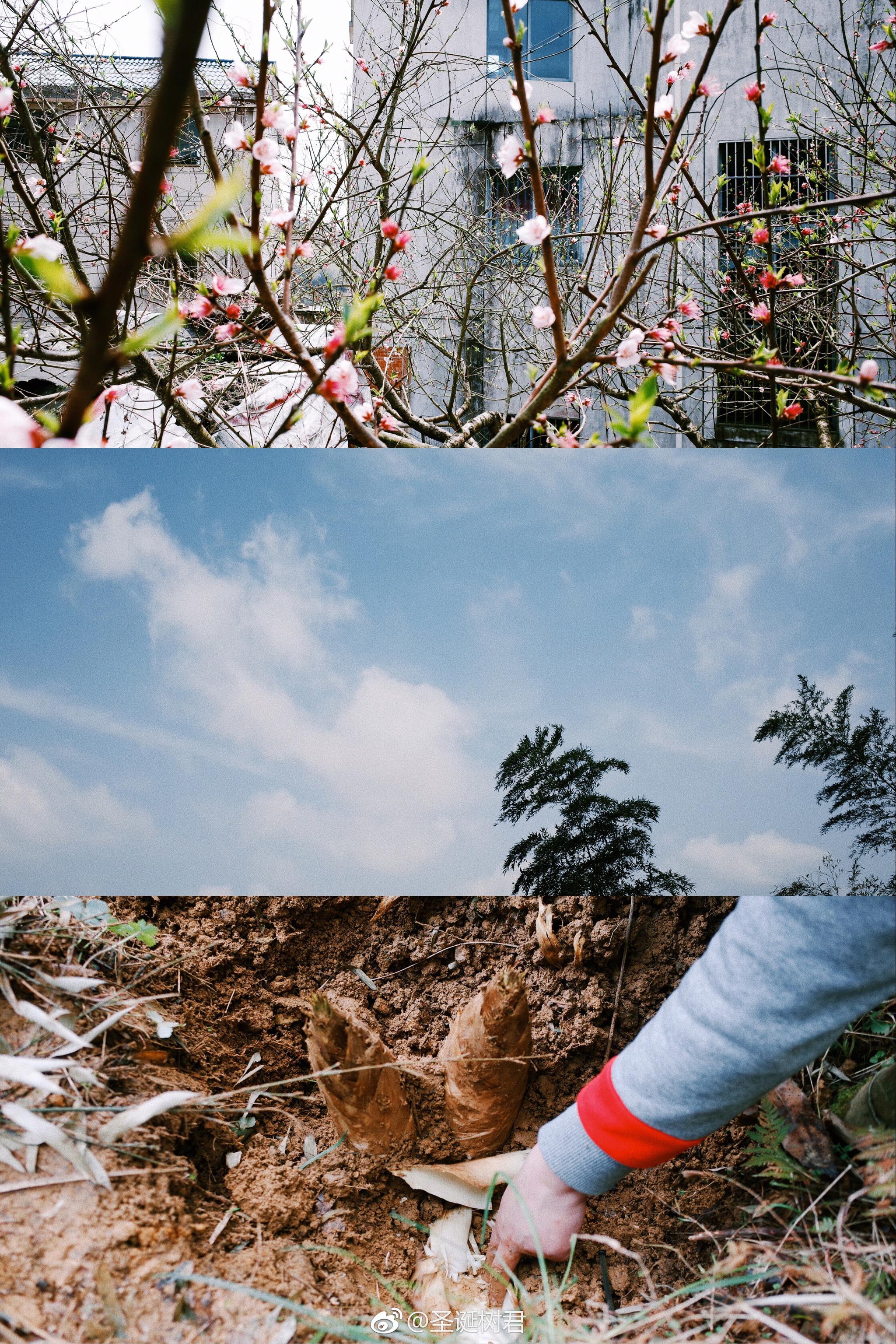 春天回来了大地像个女孩读过许多诗篇里尔克