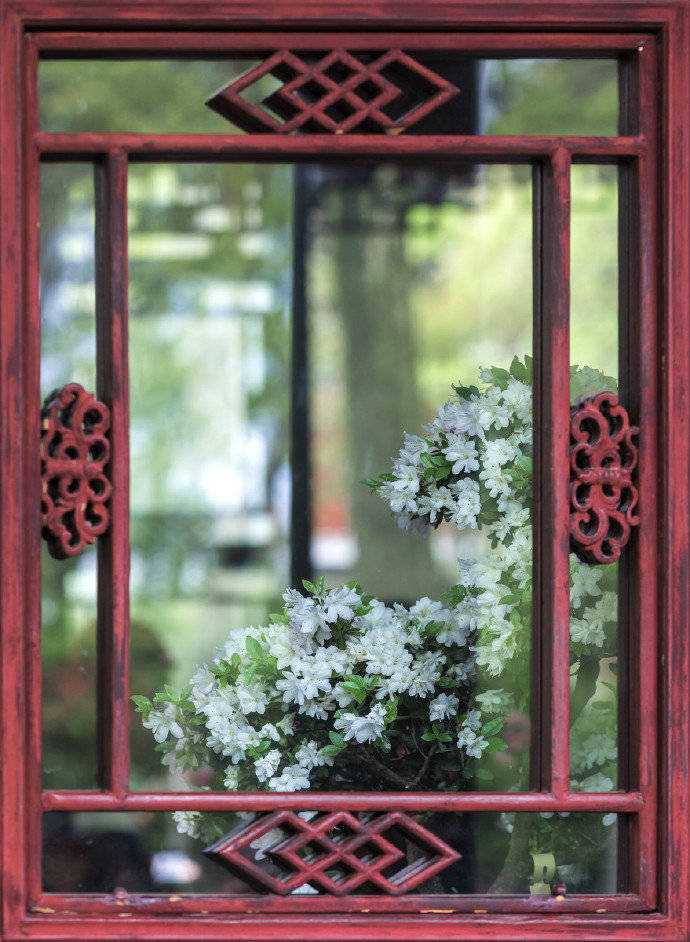 竹窗下,唯有蝉吟鹊噪,方知静里乾坤.|竹窗|蝉|乾坤_新浪新闻