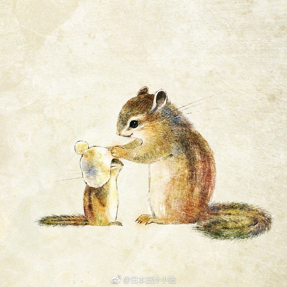 日本插画师saeko笔下的松鼠不仅爱吃坚果还爱看书学习