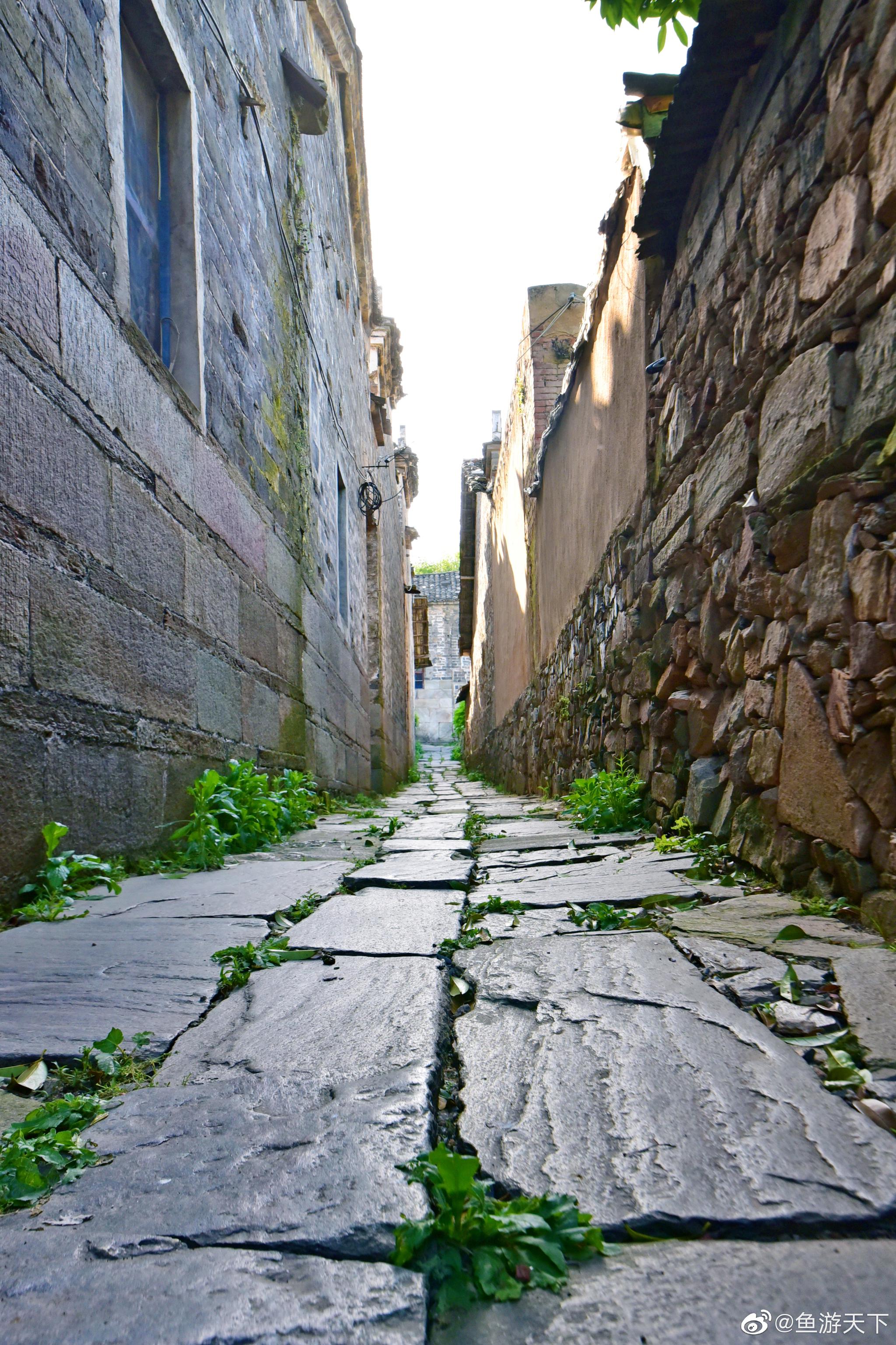 这是我第二次来湖北麻城歧亭镇的丫头山村