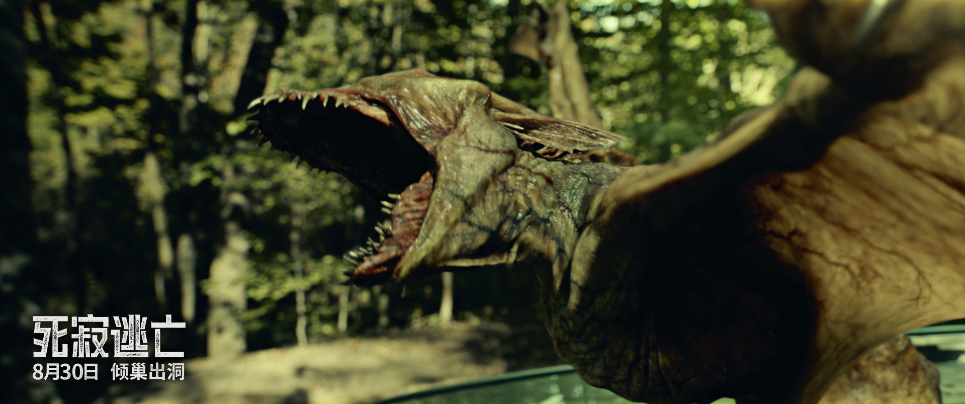 电影《死寂逃亡》里的怪兽是一种远古爬行生物,状如翼龙与巨型蝙蝠的