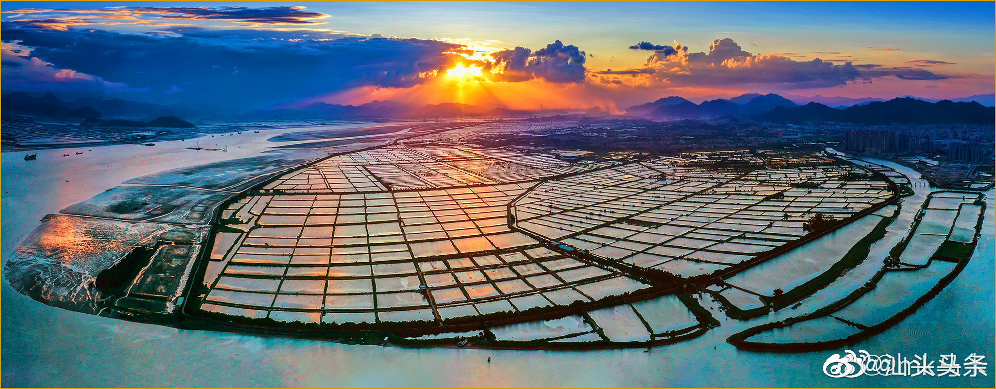 汕头市牛田洋大堤外围滩涂种植红树林项目,牛田洋东起一号闸口