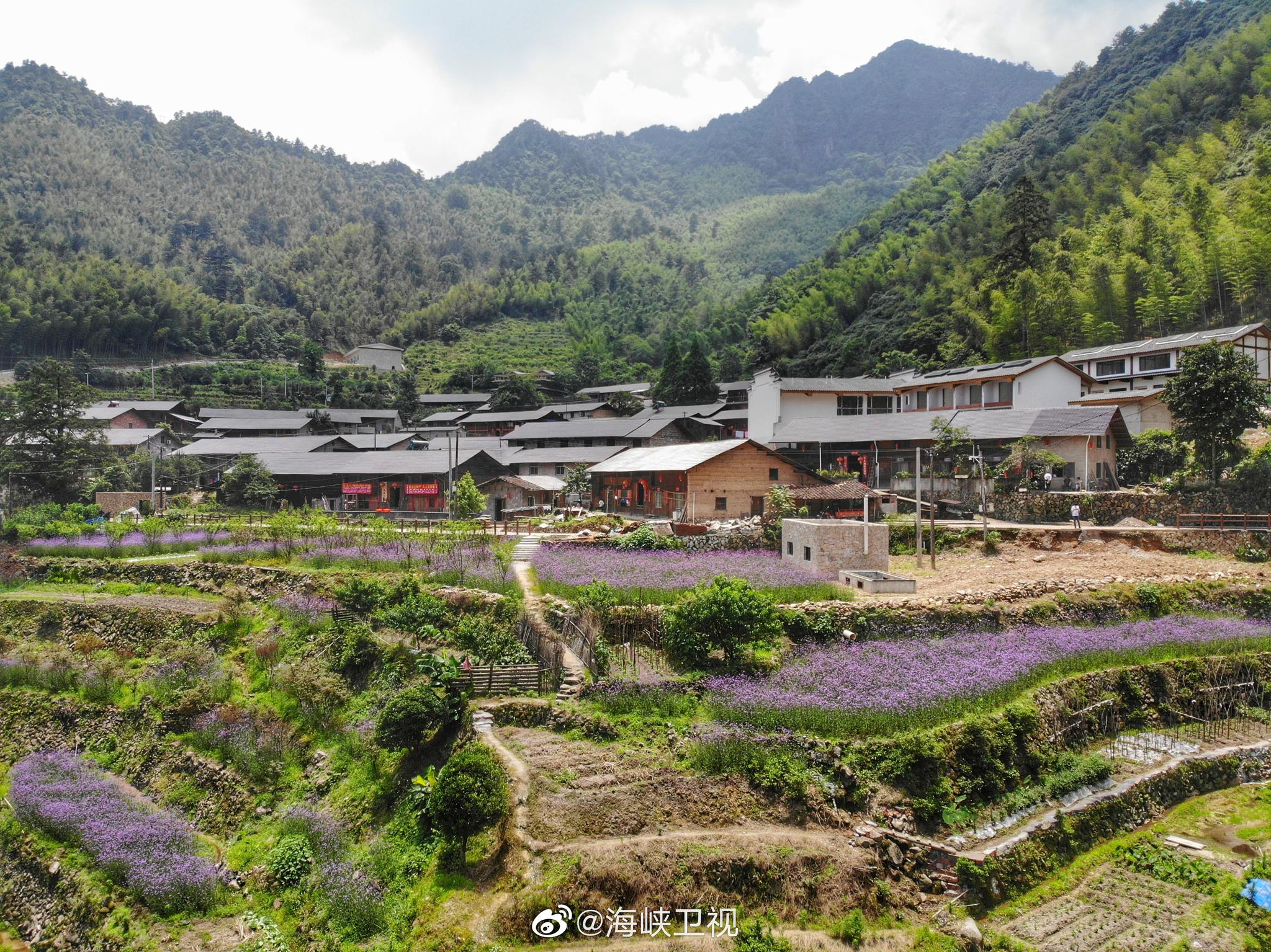 匡山国家森林公园|翠峰|浦城|翠微_新浪新闻