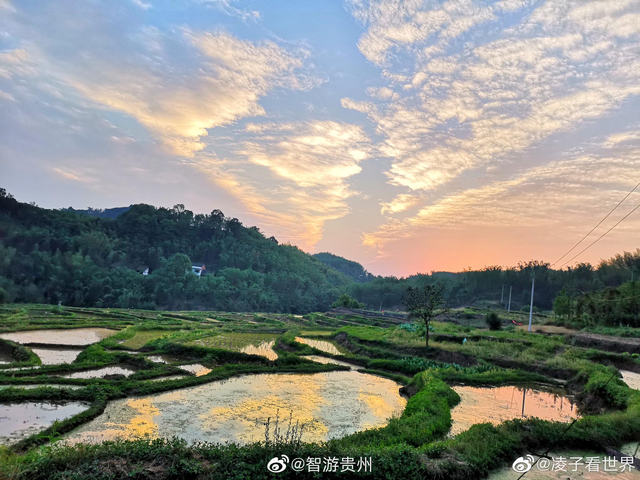 夕阳下的贵州赤水宝源梯田,美女来采荷莲,抓泥鳅挖田螺