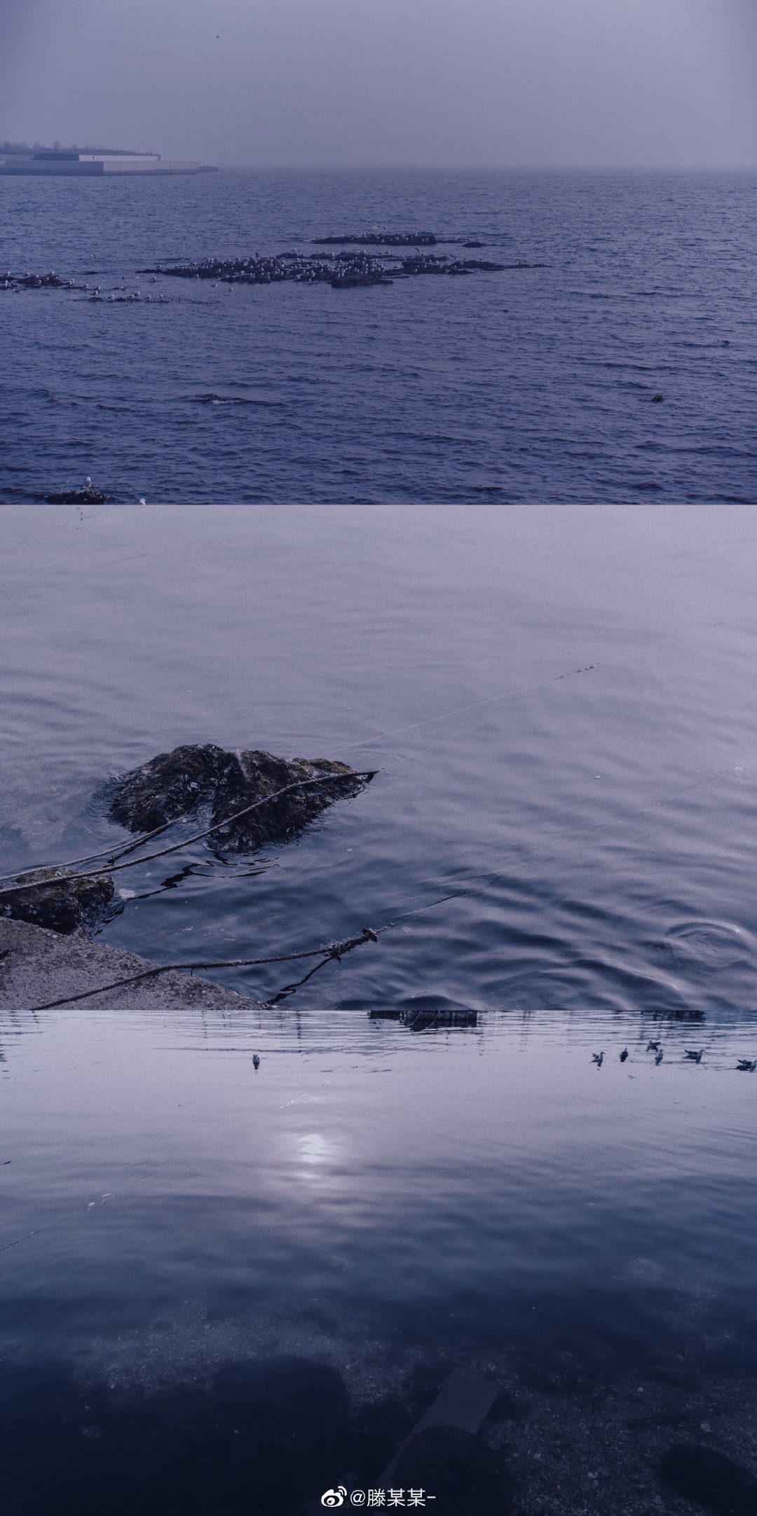 日系/冷色调胶片风拍摄后期分享,比较适合新手~by@滕某某