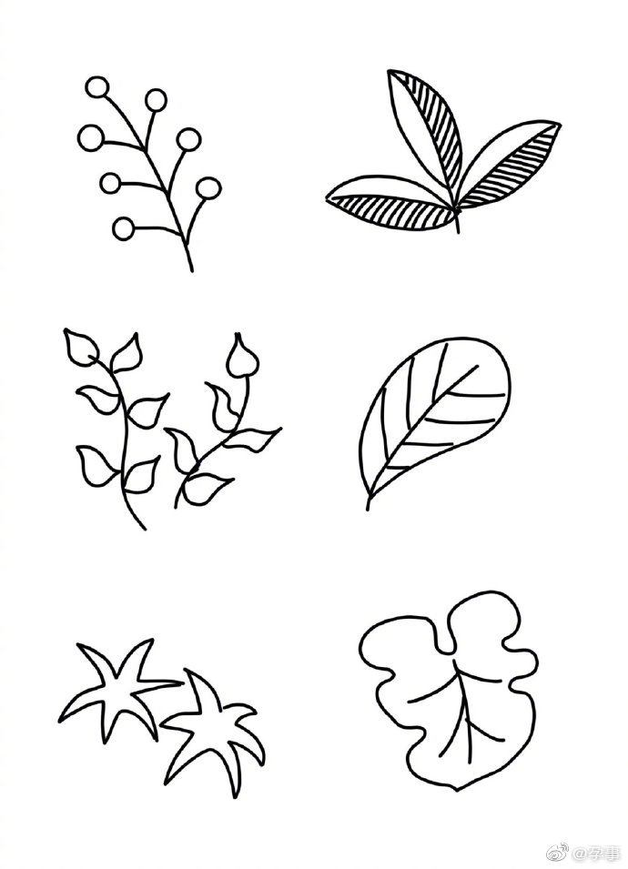 树叶叶子卡通简笔画手账素材好全啊