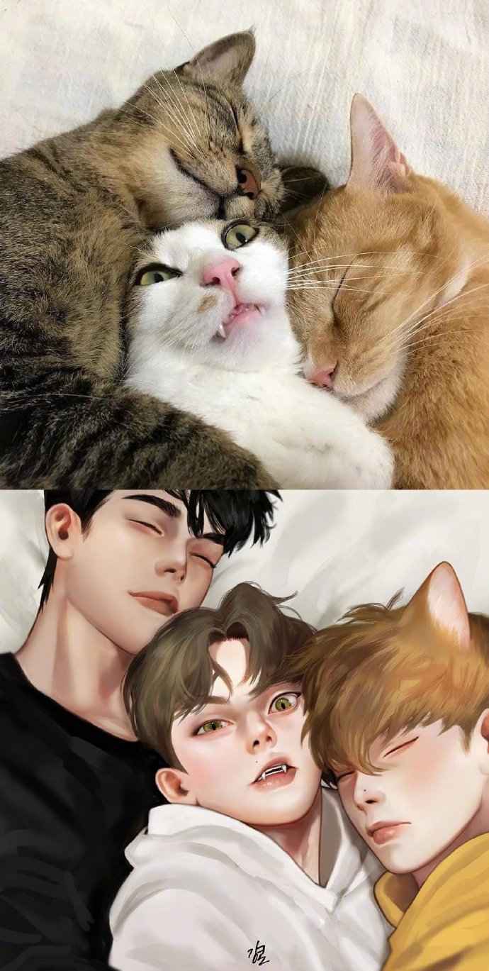 动物拟人] by:kangcono&gaetsaeng&dawndown