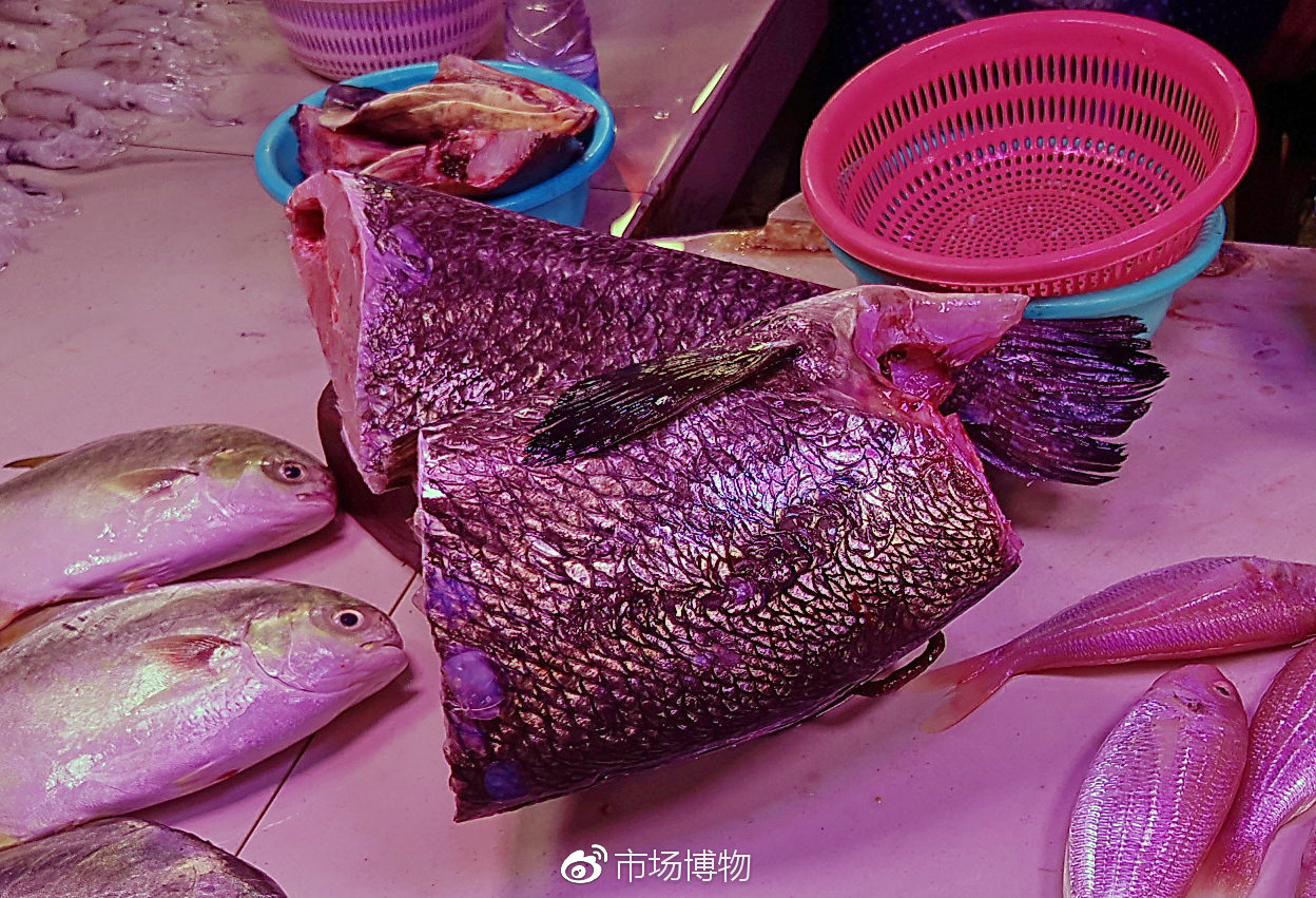市场博物:开刀鳘鱼,实惠的海鱼,但须对应烹调