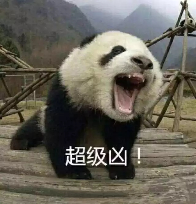国宝熊猫巨凶你过来信不信我锤你哼我不信