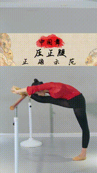 腿部柔韧性训练,压腿,踢腿,耗腿都在这!