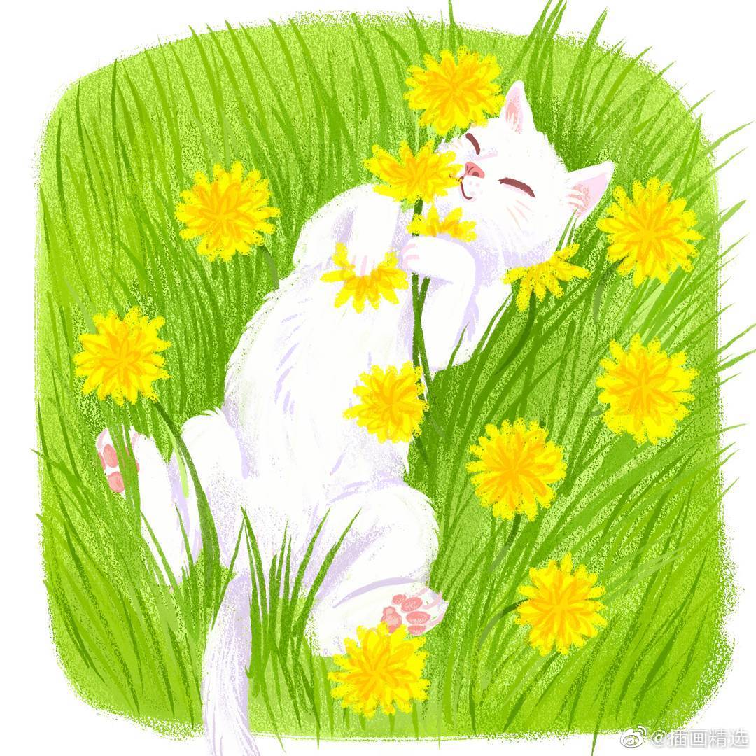 画师hellocloudy笔下的猫咪插画花草丛里的猫咪