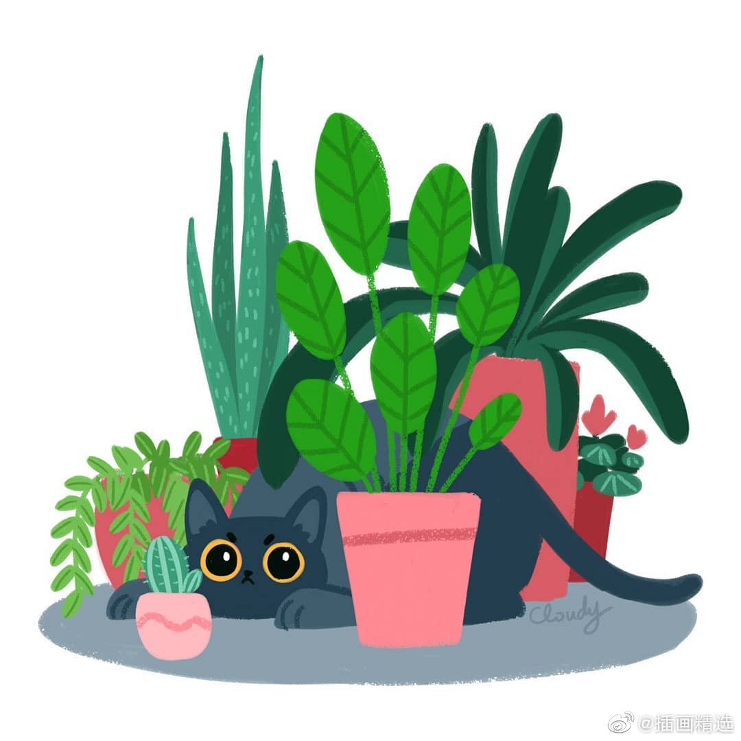 画师hellocloudy笔下的猫咪插画花草丛里的猫咪