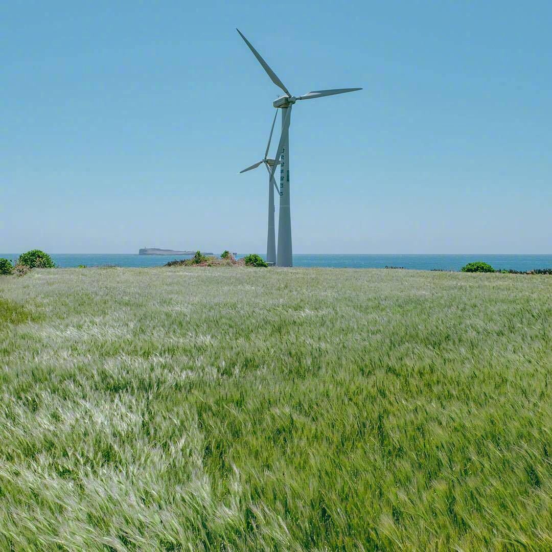 济州岛上一大片治愈的绿 很适合 哦图片来源ins