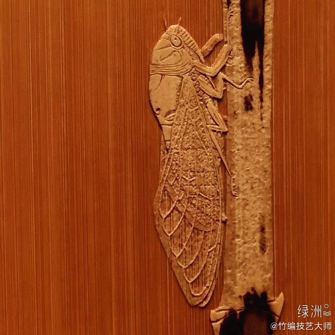 Scientific Experiment Bamboo Cicada Acoustics Handmade Technology DIY ...