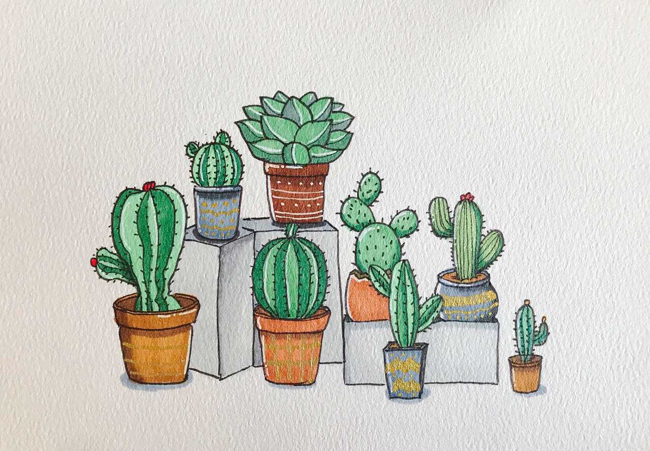 作者姬鹤马克笔小植物