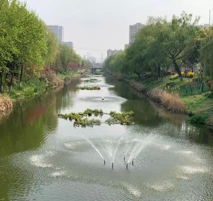 经过努力东山街道水环境有效改善,实现水清岸绿,辖区河道基本实现不黑