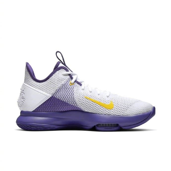 nikelebronwitness4