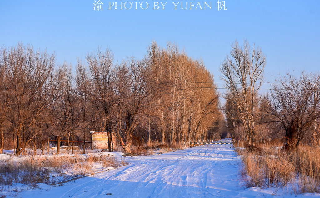 新疆托里老风口,昔日被誉夺命口,如今变成新绿洲