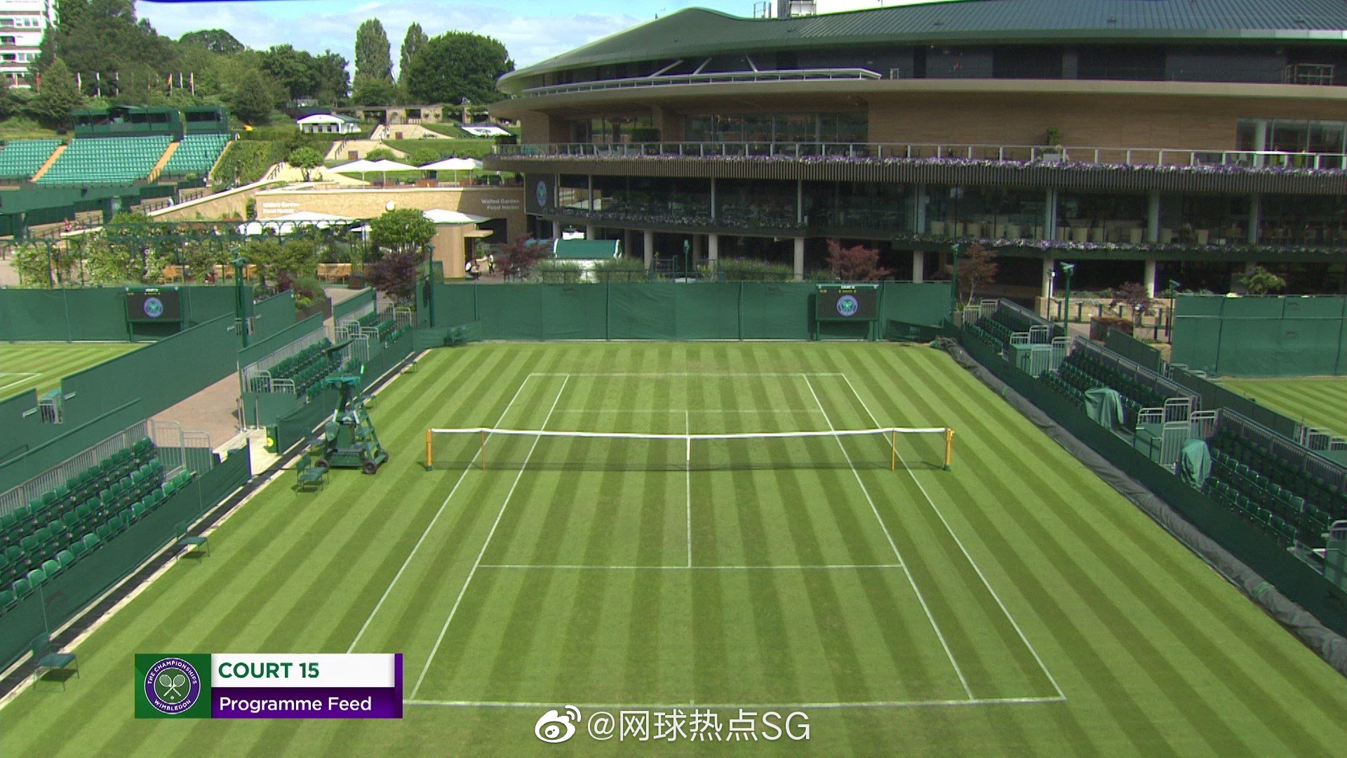 仅从视觉上,你更喜欢草地,红土还是硬地?