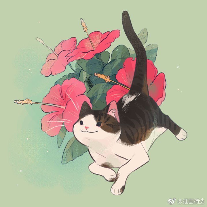 画师citrusfoam插画作品动物与花的结合 画师citrusfoam插画作品动物与花的结合