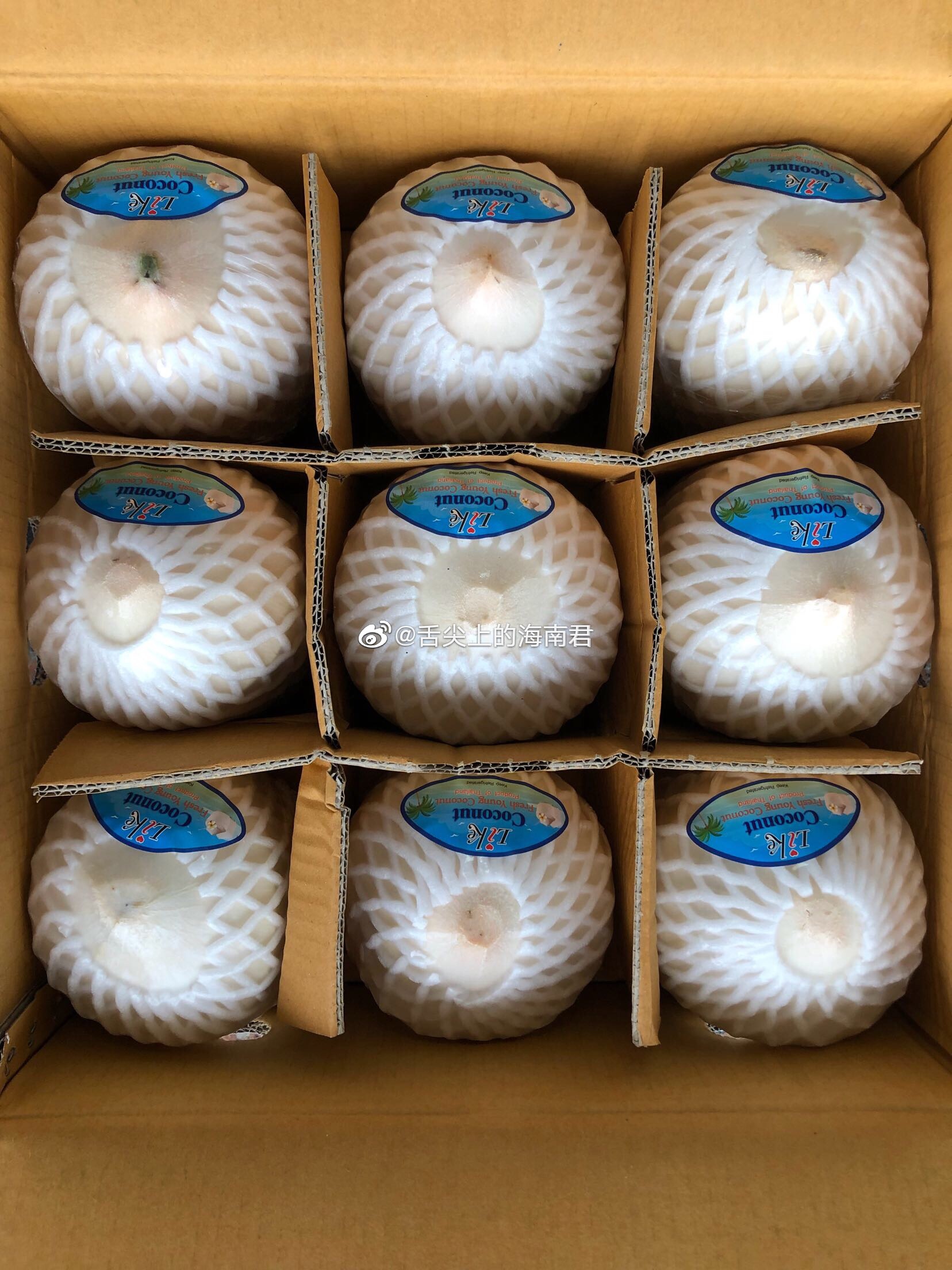 泰椰也开始在壹哟上线了,泰椰与海南椰青的口感略有不一|海南|椰青|口