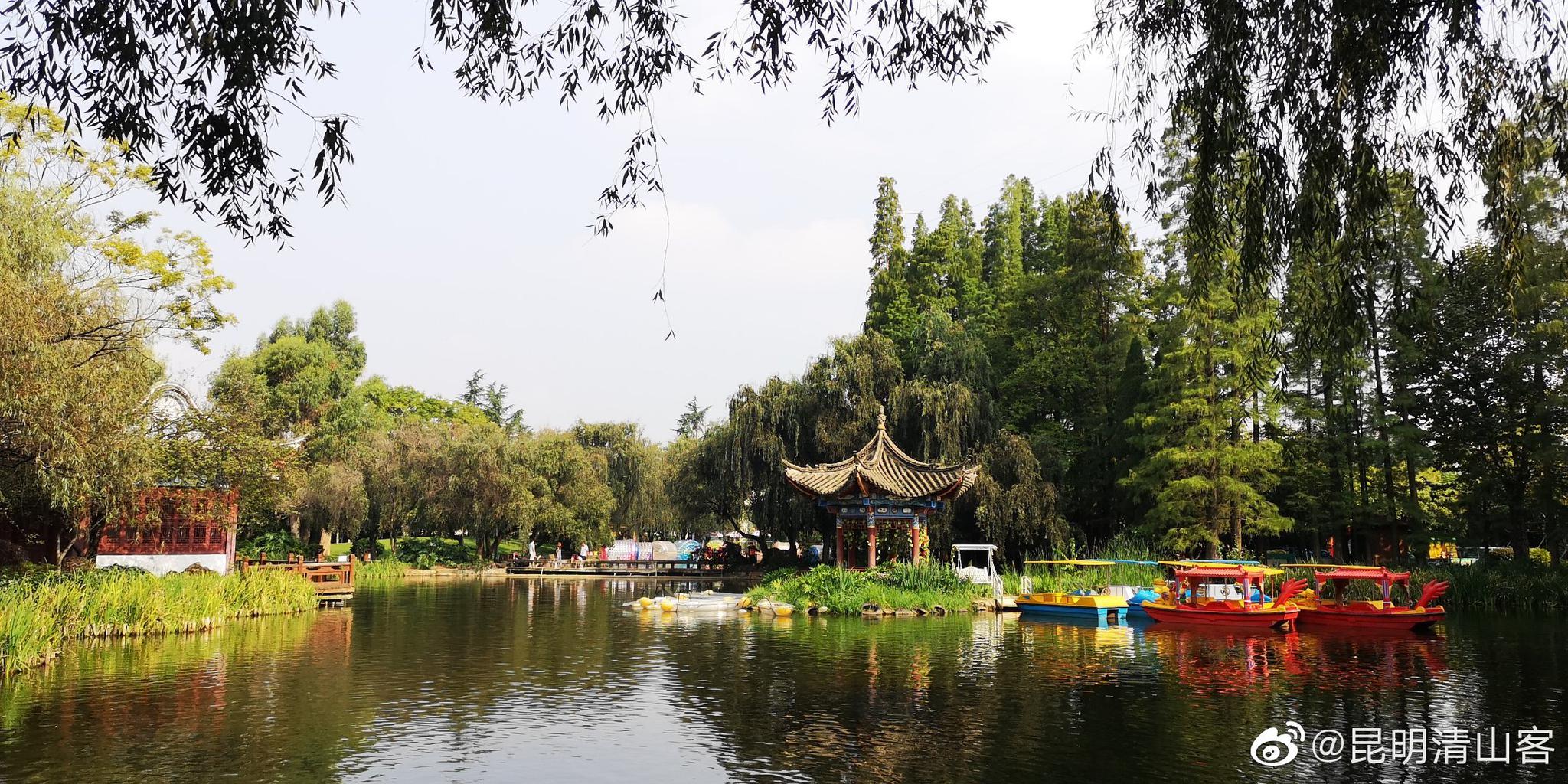 太热了,游逛昆明西华园 ,大树下乘凉