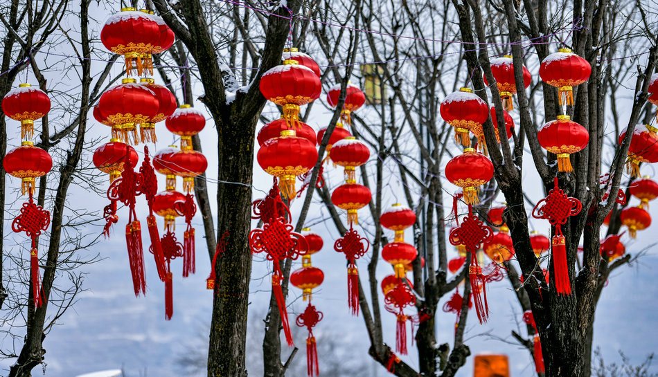 甘肃天水普降瑞雪大红灯笼映照丰收年景天之水网组图